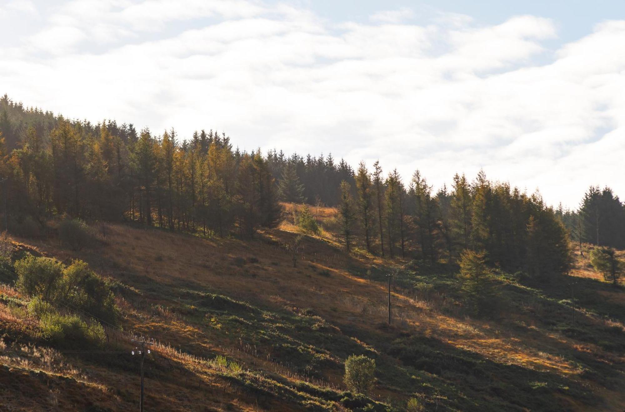 Riverside Great House In The Afan Forest Bike Park By Staystaycations Glyncorrwg Bagian luar foto